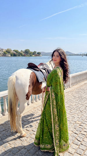 Bandani Hathi Jaal D.N:-10