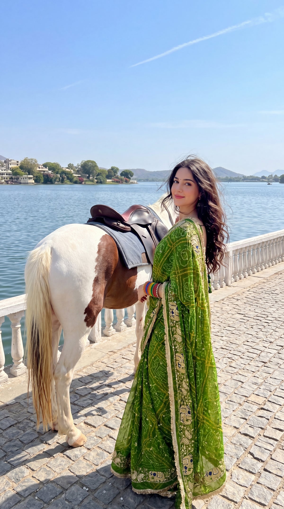 Bandani Hathi Jaal D.N:-10