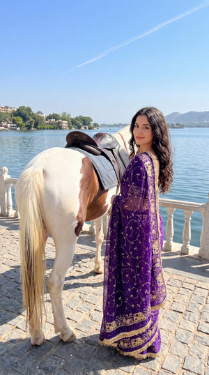 Bandani Hathi Jaal D.N:-10